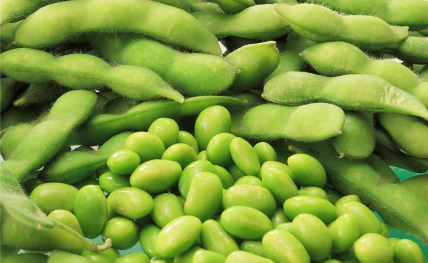 edamame lusky